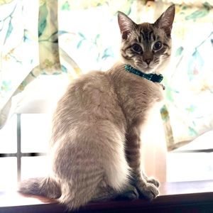 Meet your Posher, Jackie